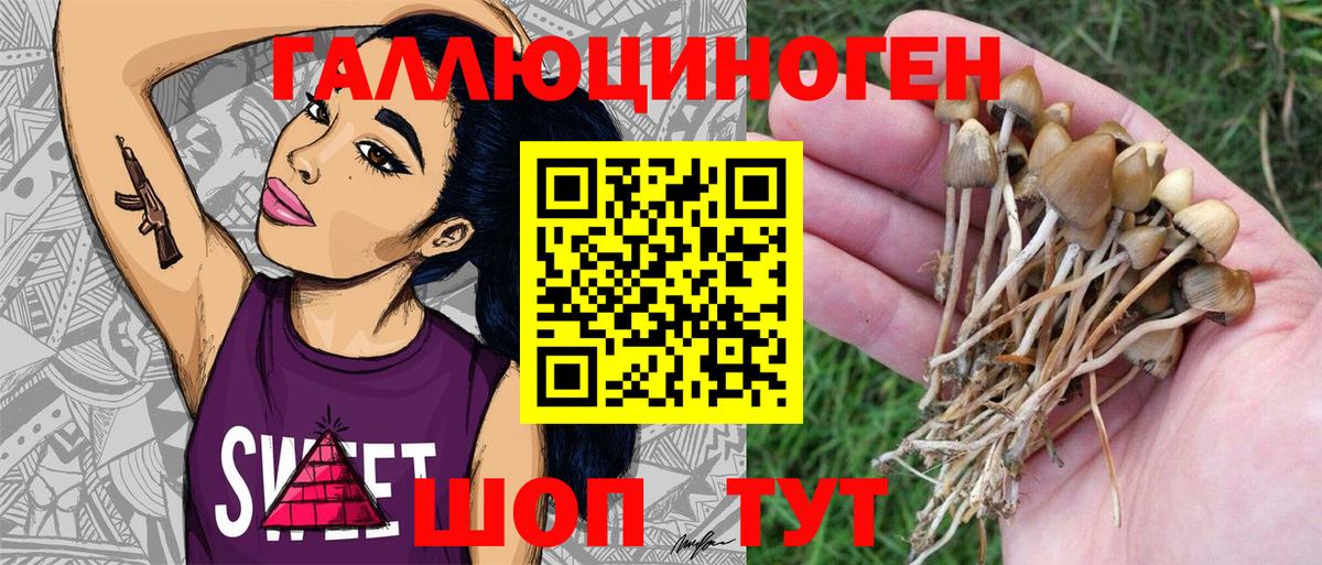 Галлюциногенные грибы мицелий  Вход с VPN  Псилоцибиновые грибы MAGIC MUSHROOMS  магазин  наркотиков  Кореновск 